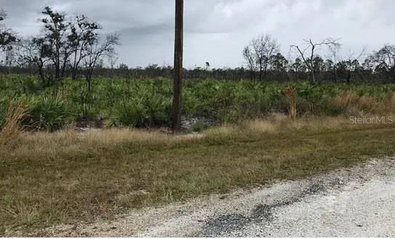 INDIAN LAKE ESTATES - Land