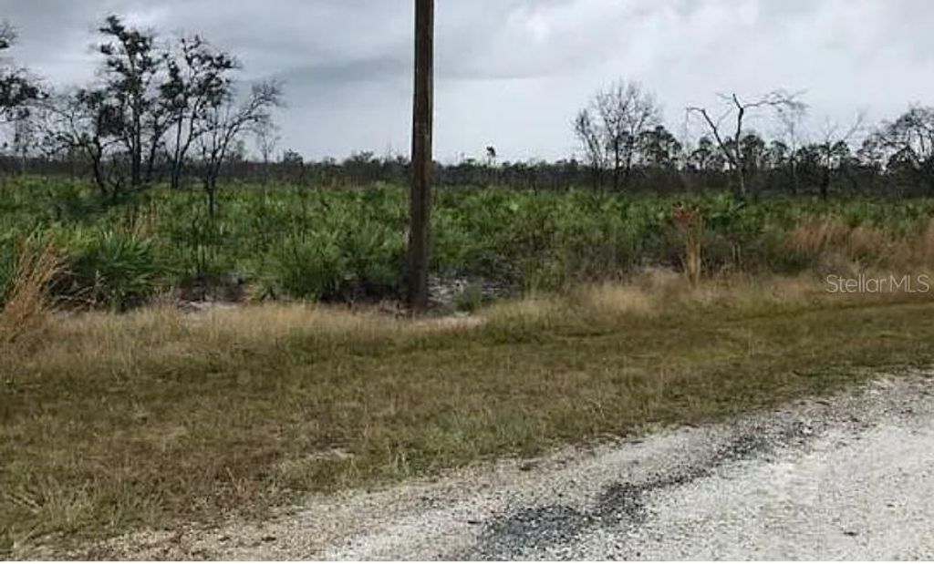 Photo of Green Way, Indian Lake Estates, FL 33855 (MLS # O6272883)