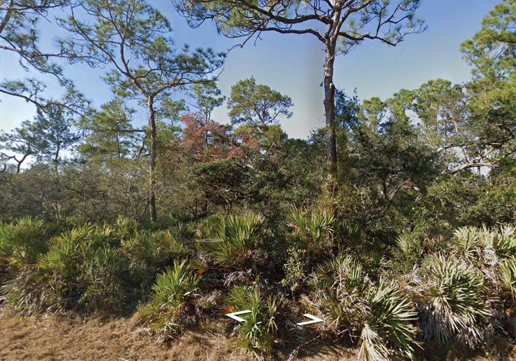 Great opportunity to own a vacant residential lot in the desirable Leisure Lakes subdivision of Lake Placid, Florida. This property offers a peaceful setting with proximity to Lake June, providing recreational opportunities such as boating and fishing. The area is known for its natural beauty and tranquility, making it an ideal spot for building a dream home or investing for the future.
All information provided is deemed reliable but is not guaranteed and should be independently verified.