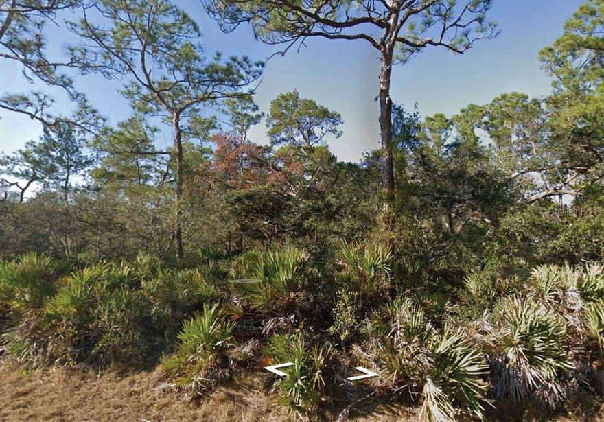 Great opportunity to own a vacant residential lot in the desirable Leisure Lakes subdivision of Lake Placid, Florida. This property offers a peaceful setting with proximity to Lake June, providing recreational opportunities such as boating and fishing. The area is known for its natural beauty and tranquility, making it an ideal spot for building a dream home or investing for the future.

All information provided is deemed reliable but is not guaranteed and should be independently verified.
