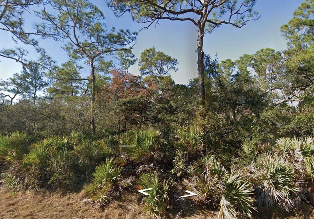 Photo of 3249 Glen Springs Avenue, Lake Placid, FL 33852 (MLS # O6308980)