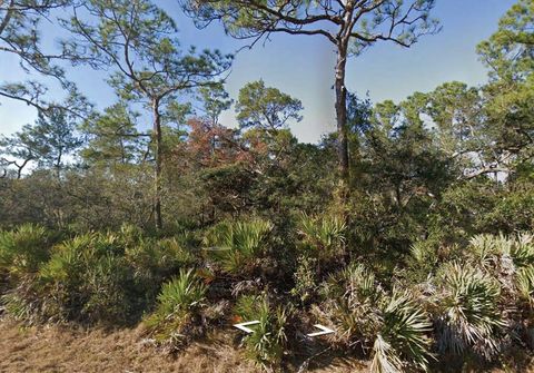 3249 GLEN SPRINGS AVENUE LAKE PLACID FL 33852