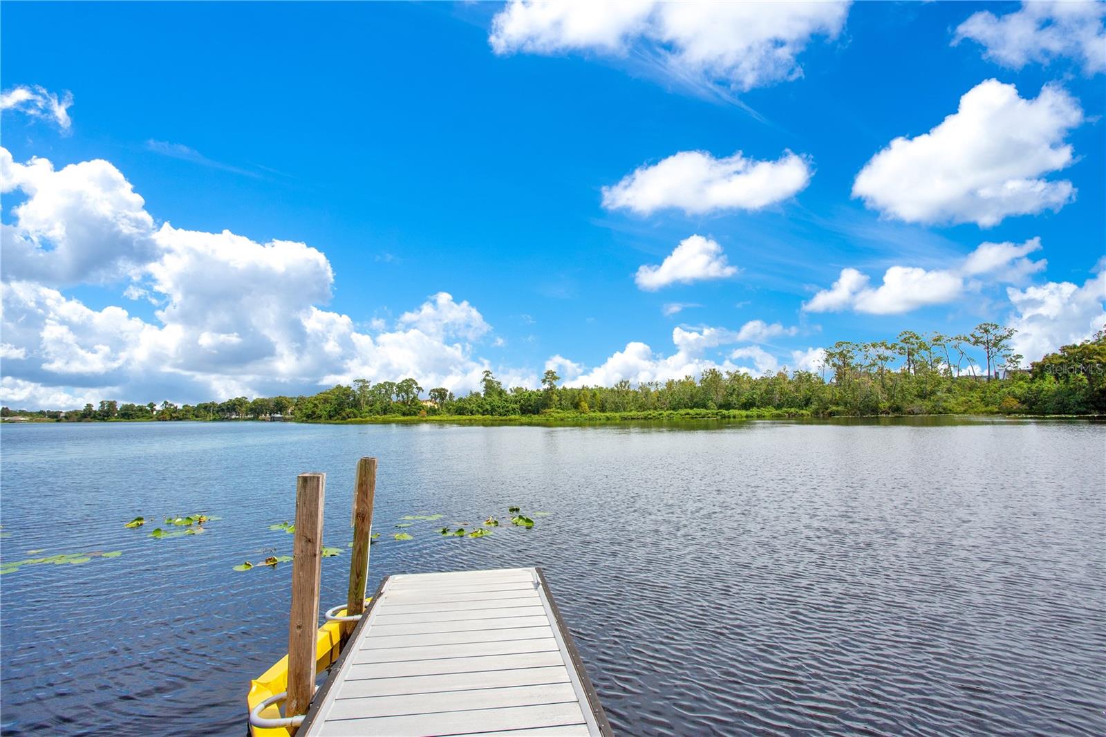 ROYAL CYPRESS PRESERVE-PH 3 - Residential