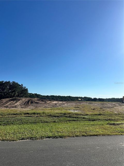 38404 WOODED MEADOW DRIVE UMATILLA FL 32784