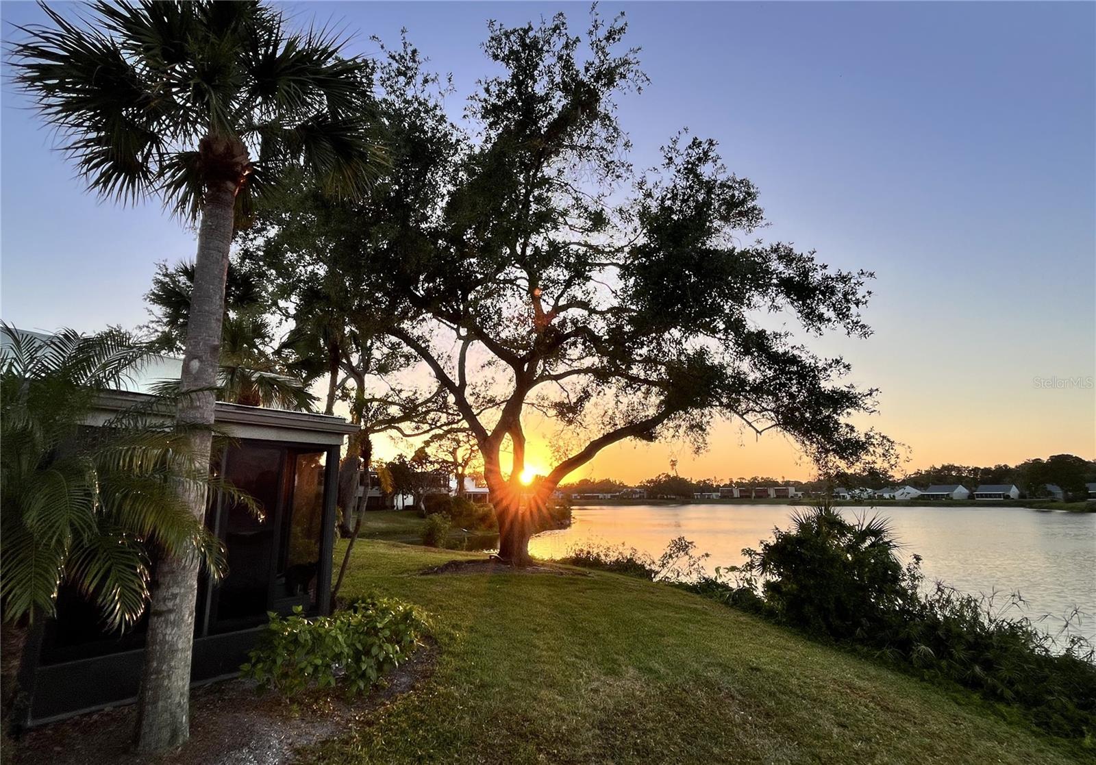 WILDEWOOD SPGS II-C - Residential