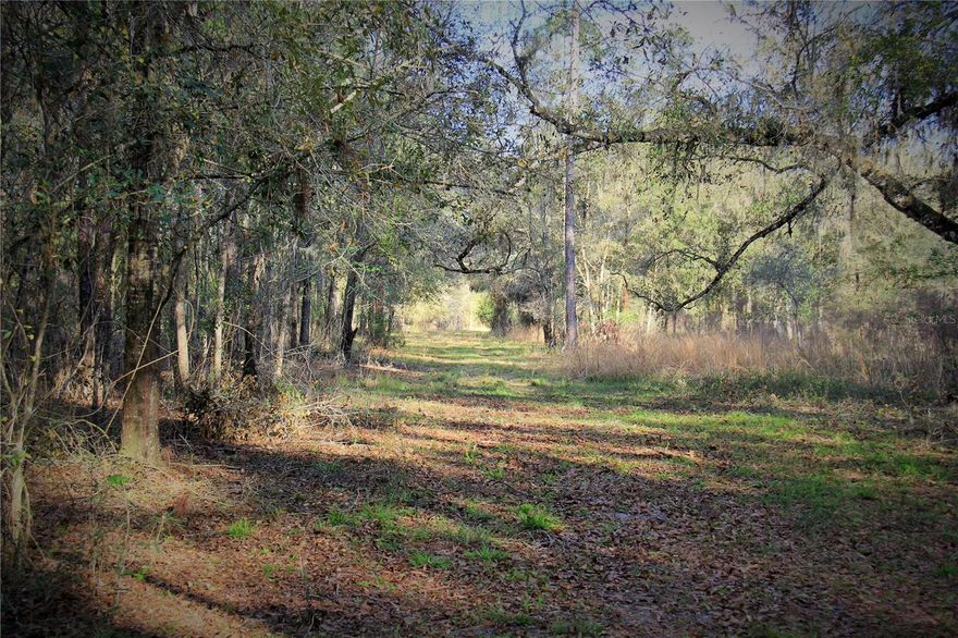 Back on the market!!!!  Here is your chance to own 27 +/- acres, (2) 13.5 acre parcels, of superior Florida hunting,  recreation and/or farmland acreage embedded in and surrounded on 3 sides by the Baird Unit in the Richloam Wildlife Management Area; the east, south and west sides.  Sumter County Parcels T29-033 and T29-036 make up the total 27 acres in Linden, Florida.  Turkeys and hogs are abundant.  Seasonal hunt leases for deer and turkeys, as well as year round hunt leases for hogs, could be sold.  At least 10 acres of pine trees remain to be harvested.  The property includes dog woods, planted pines, cypress trees as well as an old oak hammock on its south side, all under an agricultural property tax exemption.  Most of this property is located in Zone X flood zone.  This property is not landlocked.  Multiple recorded ingress/egress easements from CR 772B to Parcel T29-036 give legal access to these two parcels along only 1 mile of the old Wade Grade elevated tram road (3 gates).  Permissive access is also available from the gate on CR 719 then across State land, T20-013, to Wade Grade (2 gates).  A pipe believed to be an old irrigation water well casing is located on Parcel T29-036.  A power line easement is located approximately 1,100 feet north of Parcel T29-033.    Approximately 1 hour from Downtown Orlando, The Villages or Lakeland, 1 1/2 hour from Tampa.