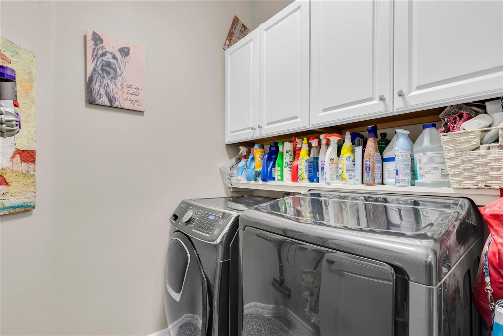 MIRABELLA AT VILLAGE GREEN - Residential