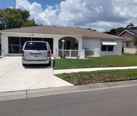 Photo of 11220 Elderberry Drive, Port Richey, FL 34668 (MLS # W7886128)