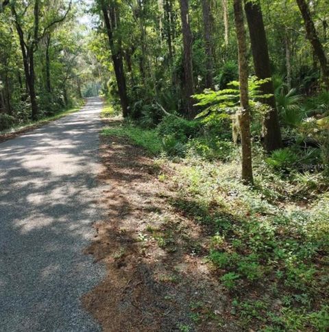 TBD NW 200TH ST RD STREET MICANOPY FL 32667