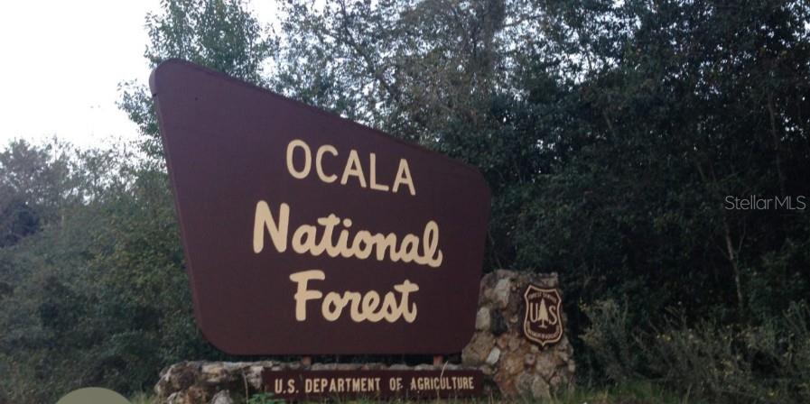 OCALA NATIONAL FOREST CAMPSITES - Residential