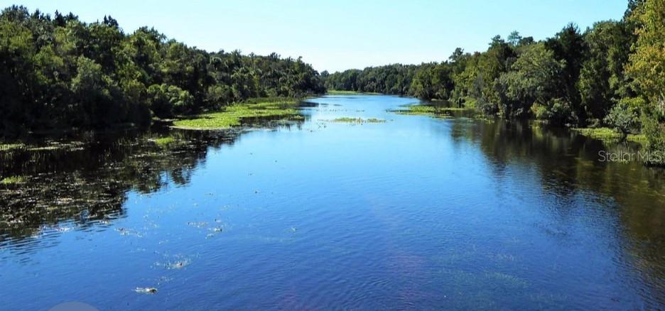 OCALA NATIONAL FOREST CAMPSITES - Residential