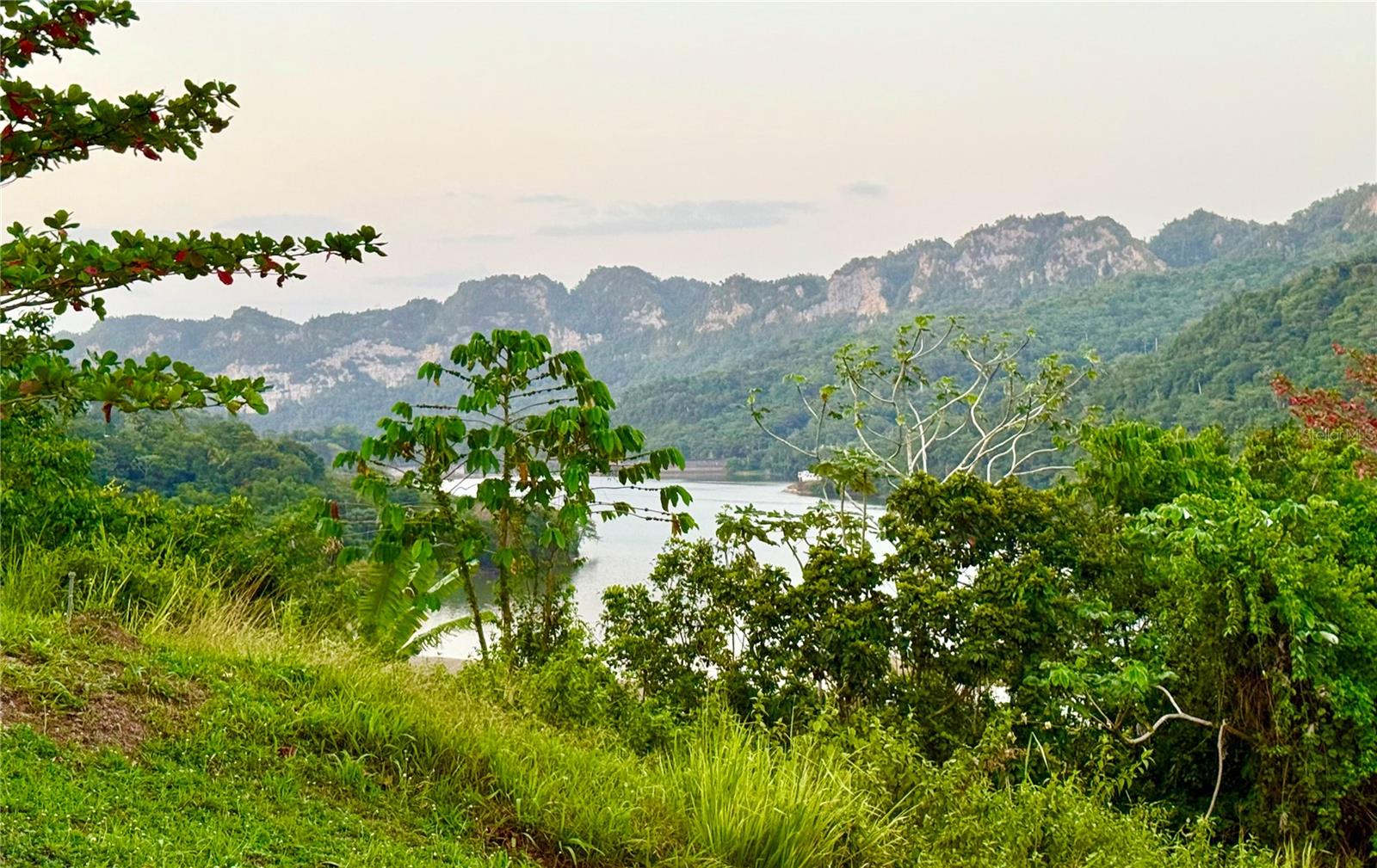 KM 66.2 PR-123 ROAD