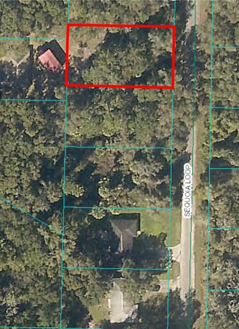 0 SEQUOIA LOOP OCKLAWAHA FL 32179