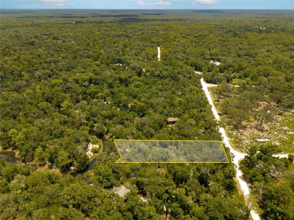 Photo of 7333 Riverview Drive, Webster, FL 33597 (MLS # W7886641)