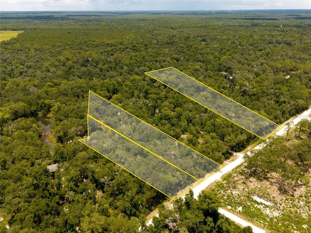 Photo of 7333 Riverview Drive, Webster, FL 33597 (MLS # W7886641)