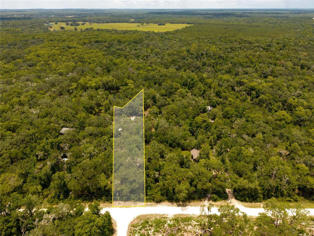 Photo of 7333 Riverview Drive, Webster, FL 33597 (MLS # W7886641)