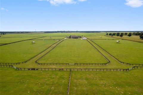 Tiny photo for Dunnellon, FL 34432 (MLS # OM712119)