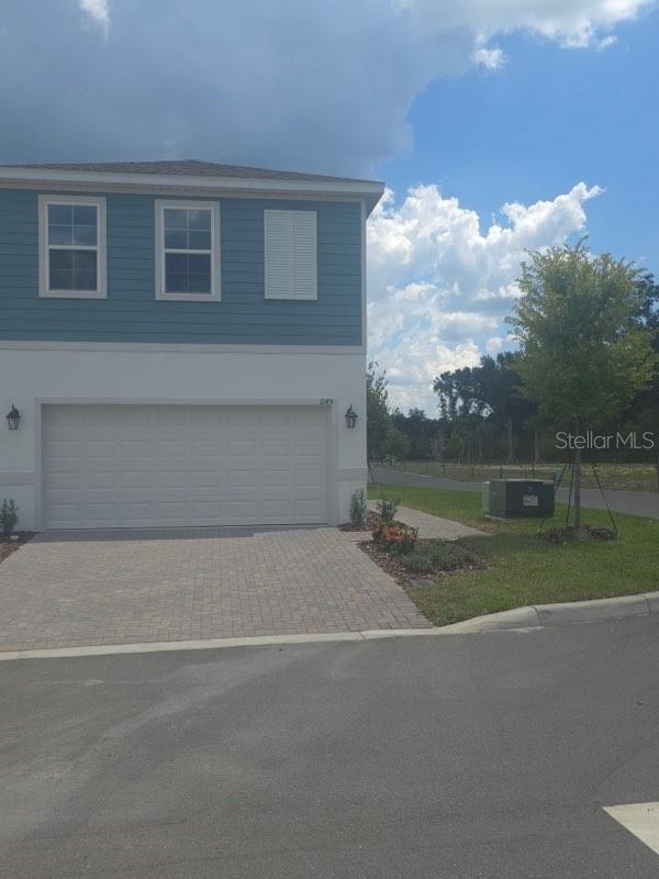 1145 RED BUCKEYE COURT