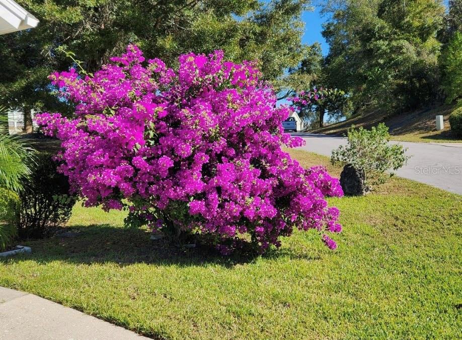 OAK RUN NEIGHBORHOOD 12 / TOWER HEIGHTS - Residential