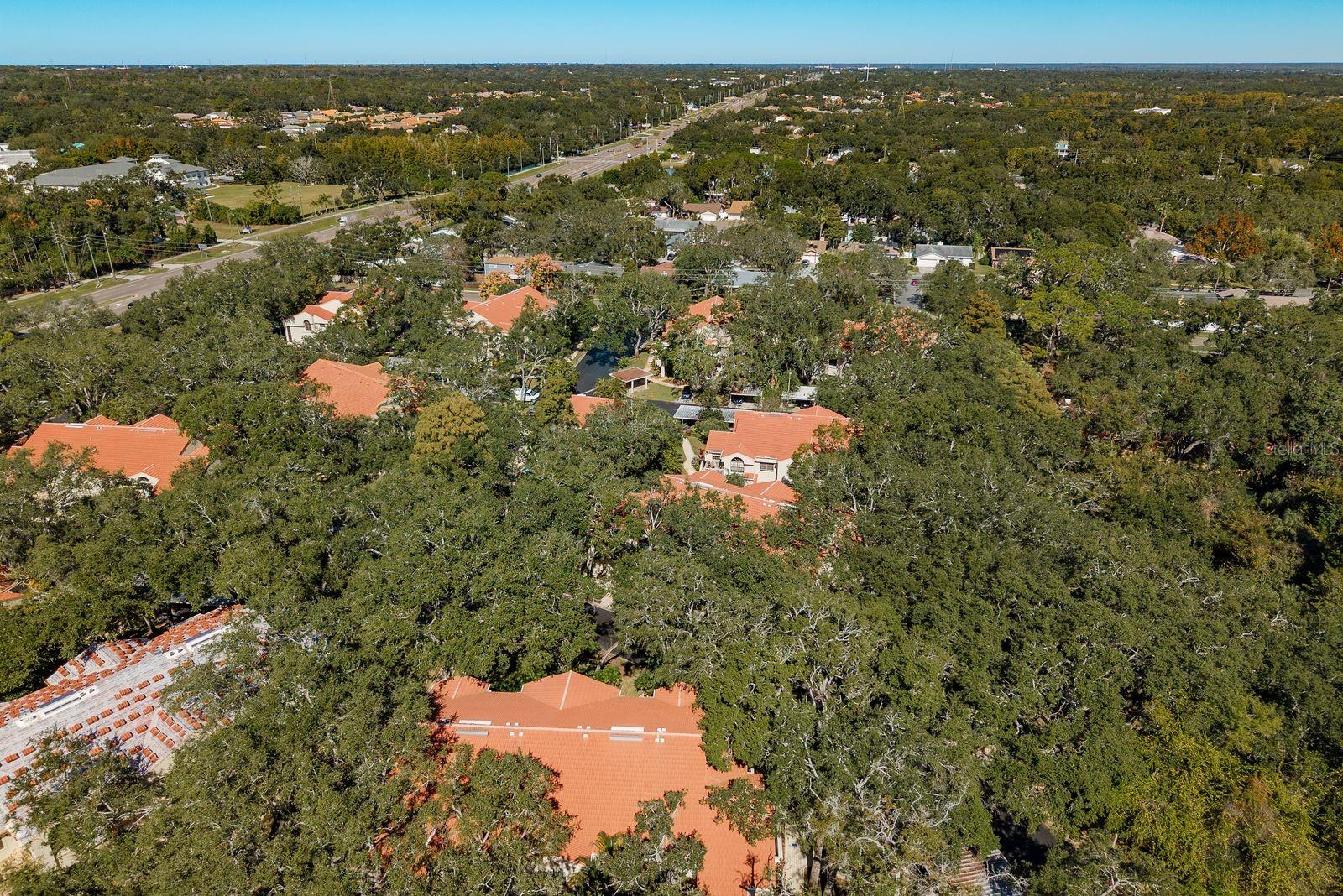 LOS PRADOS CONDO - Residential