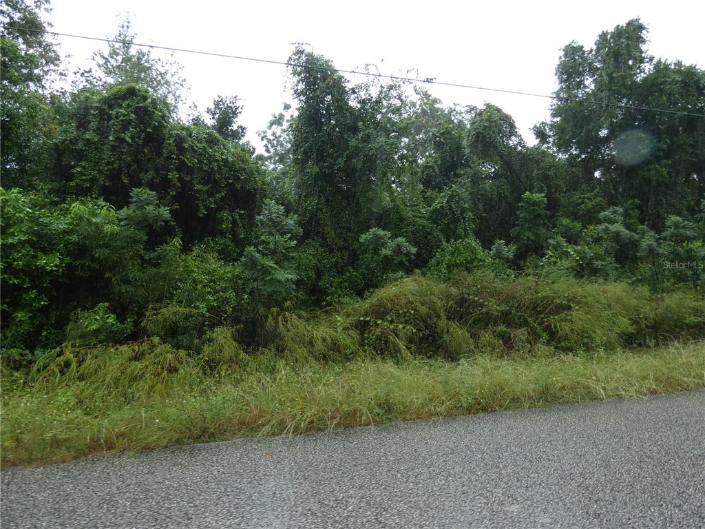 Photo of 0 Marley Avenue, New Port Richey, FL 34654 (MLS # W7890172)