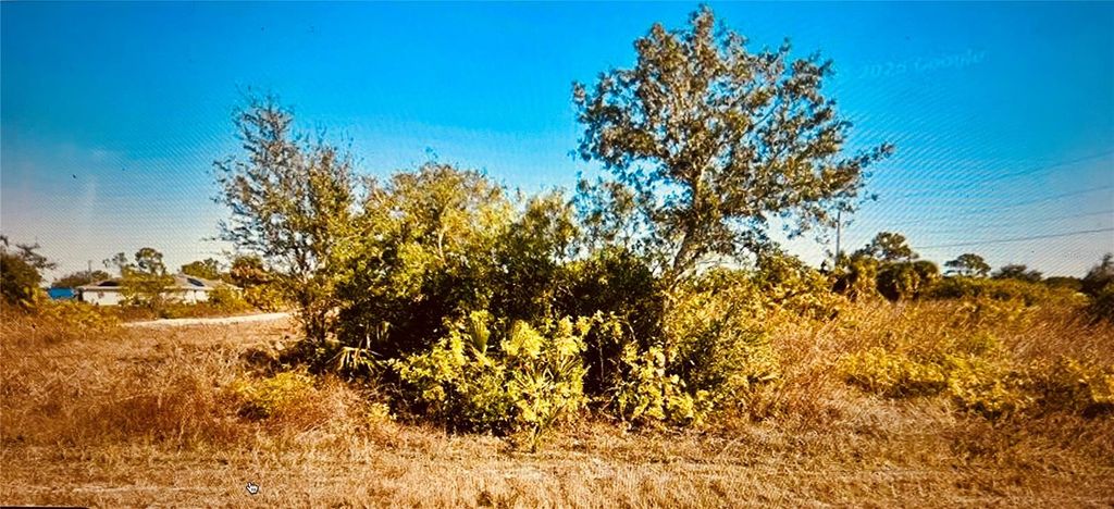 Photo of 3333 Meadow Road, Lehigh Acres, FL 33974 (MLS # O6401778)