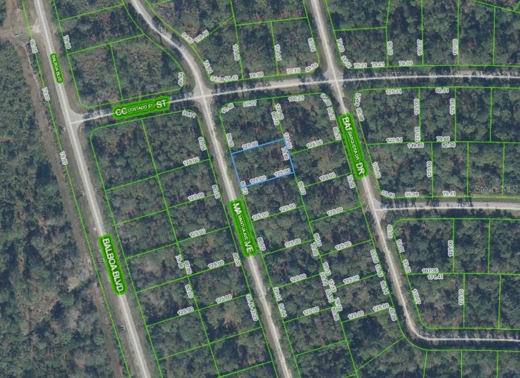 Photo of 8950 Mantua Drive, Sebring, FL 33872 (MLS # P4939674)