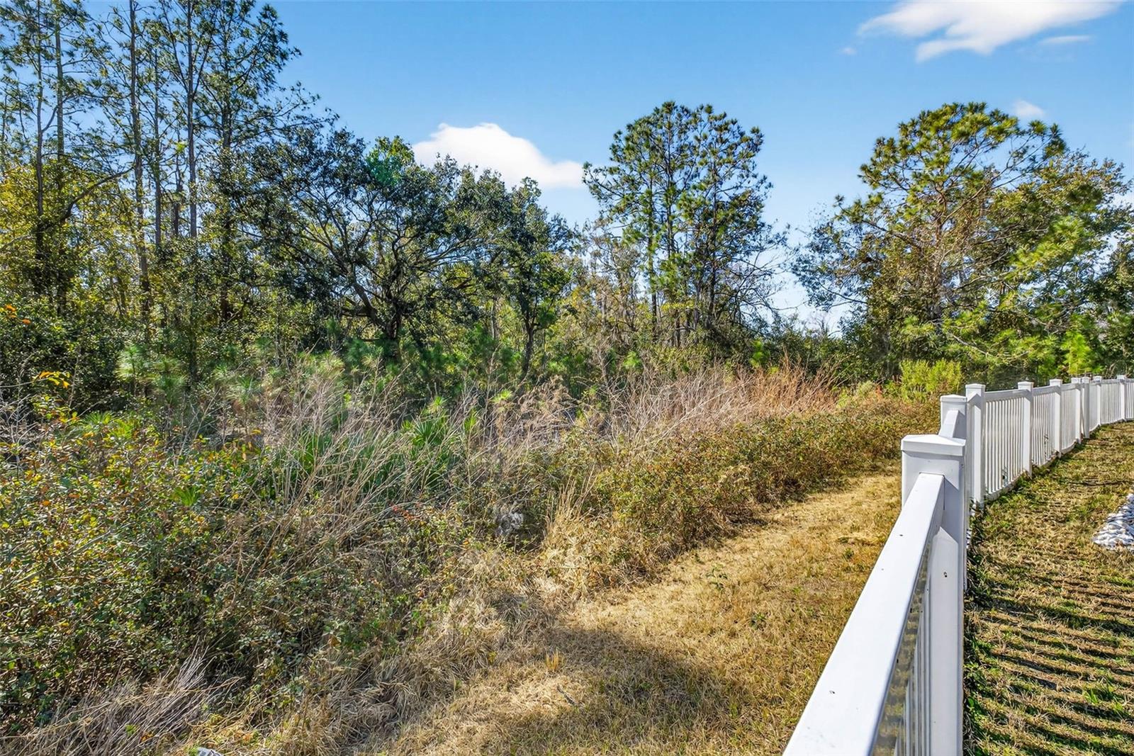 SILVERADO RANCH SUB - Residential