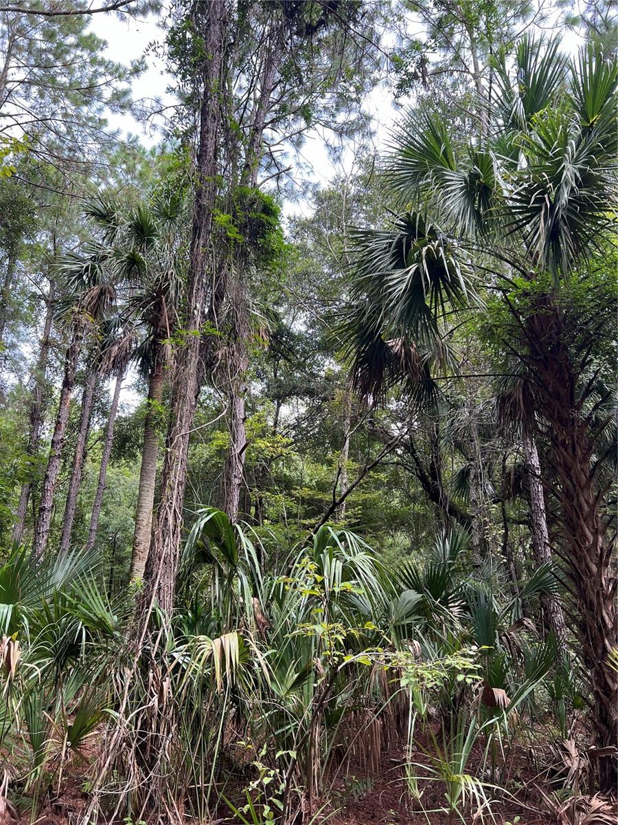 Lot 3 NASSAU COURT