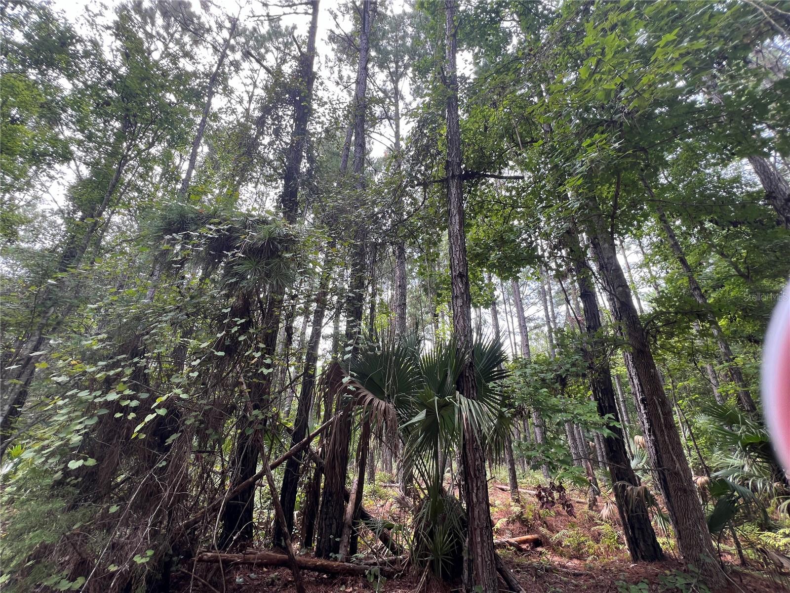 Lot 3 NASSAU COURT