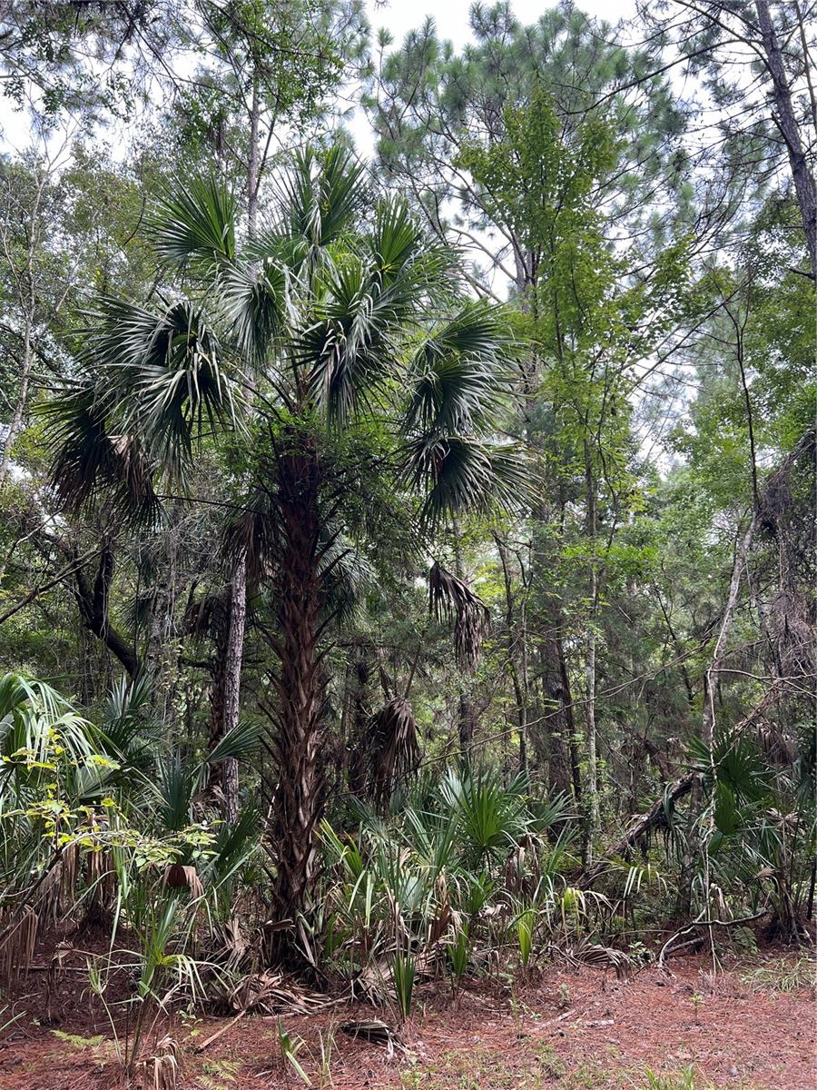 Lot 3 NASSAU COURT