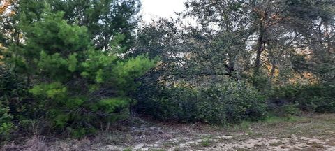 910 GRANADA DRIVE INDIAN LAKE ESTATES FL 33855