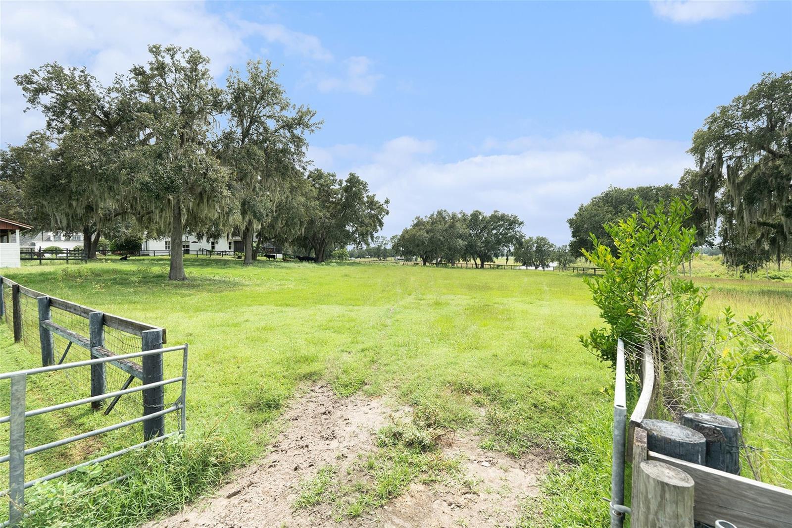 ACREAGE - Residential