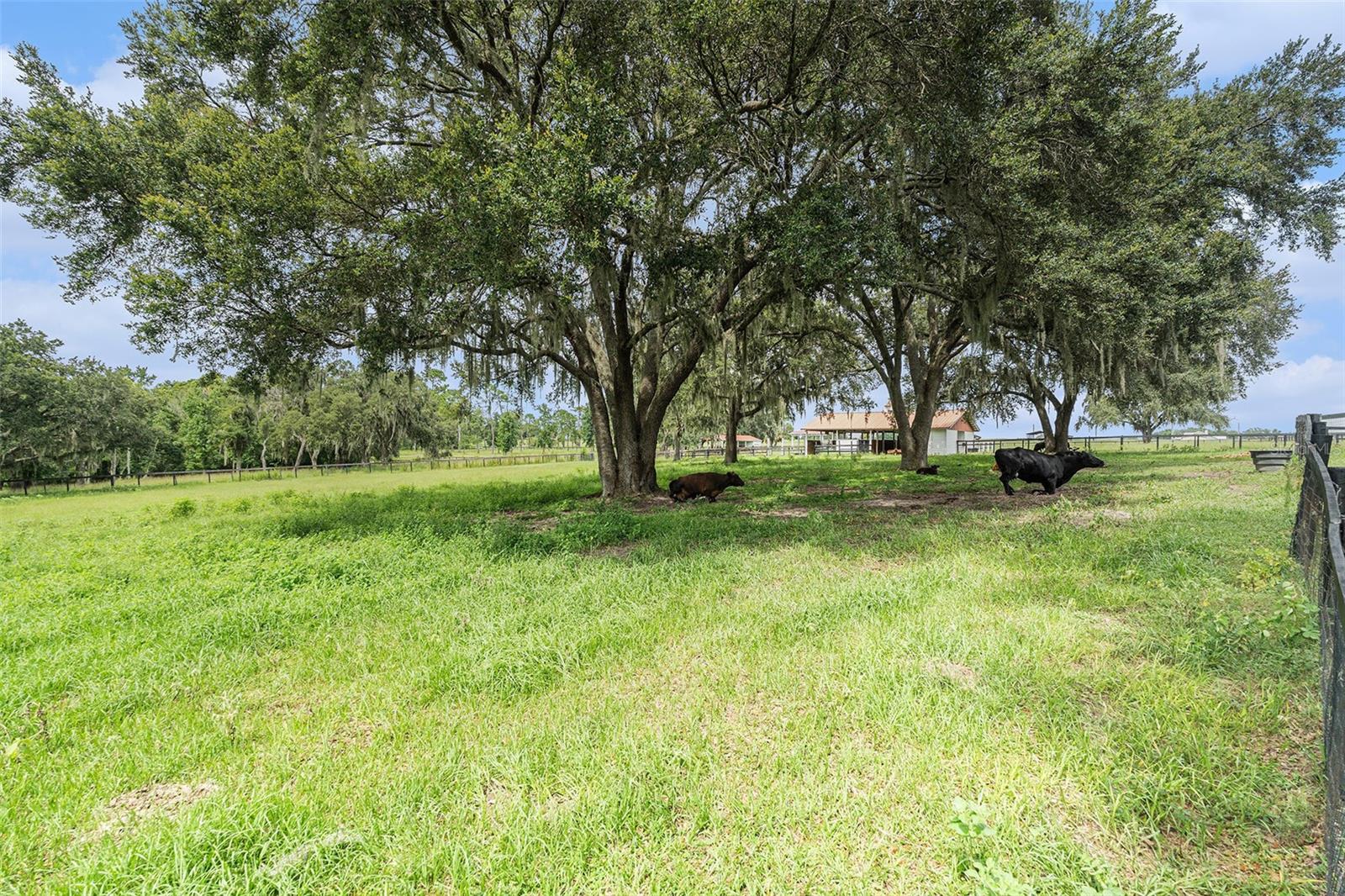 ACREAGE - Residential