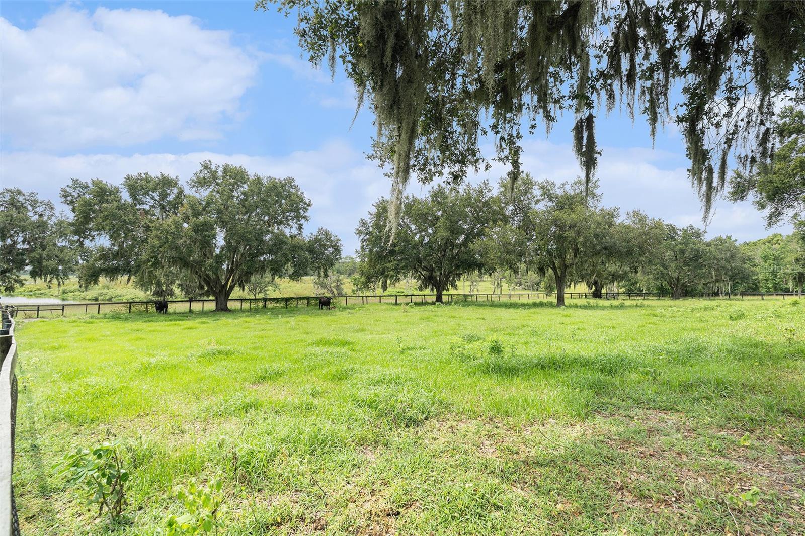 ACREAGE - Residential