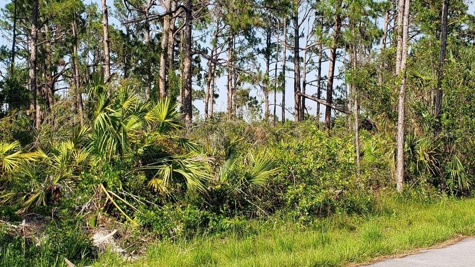 Check out this lot in a growing part of Port Charlotte, Close to everything Shopping, dining, golf, the Rays Stadium 20 min ride to the beach!
The lot next to this is also for sale, see MLS N6126705