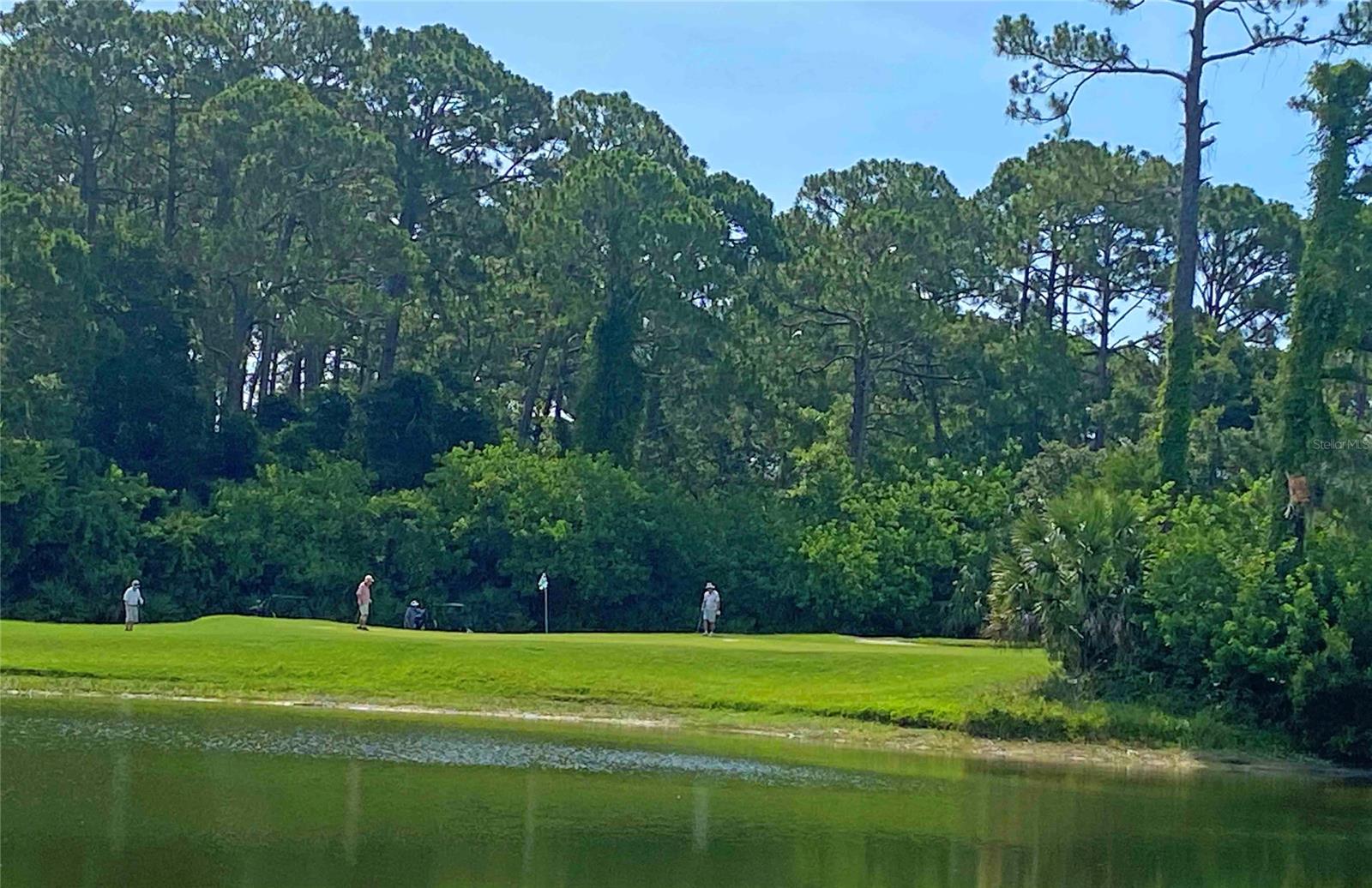 Golf Villas At Turnbull Bay Unit 01 - Residential