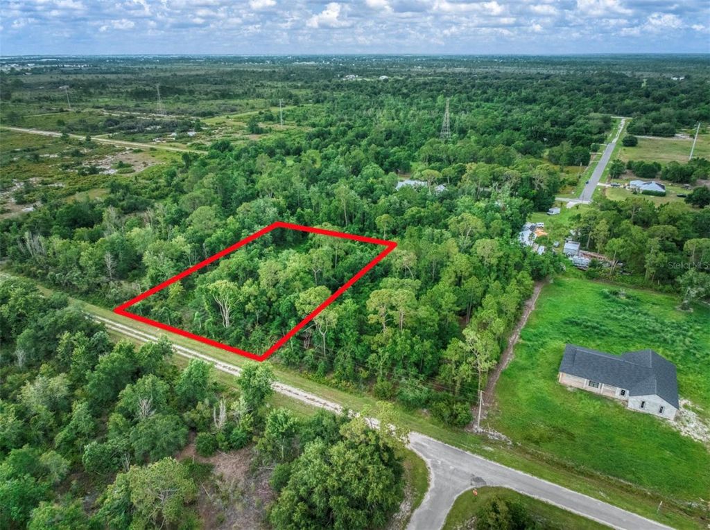 Photo of 2811 W Starr Road, Avon Park, FL 33825 (MLS # O6402659)