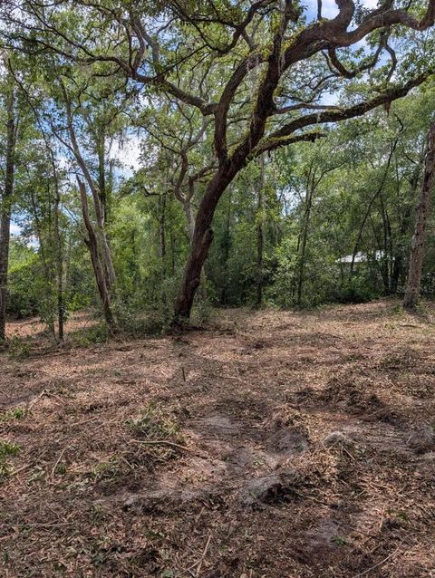 Tiny photo for 0 NE 220th Street, Fort Mccoy, FL 32134 (MLS # OM724633)