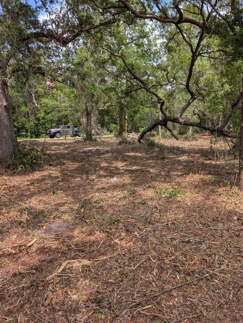 Photo of 0 NE 220th Street, Fort Mccoy, FL 32134 (MLS # OM724633)