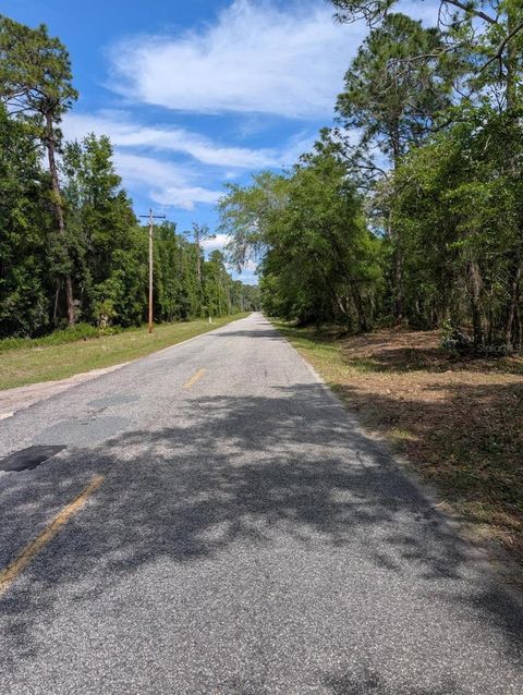 Tiny photo for 0 NE 220th Street, Fort Mccoy, FL 32134 (MLS # OM724633)