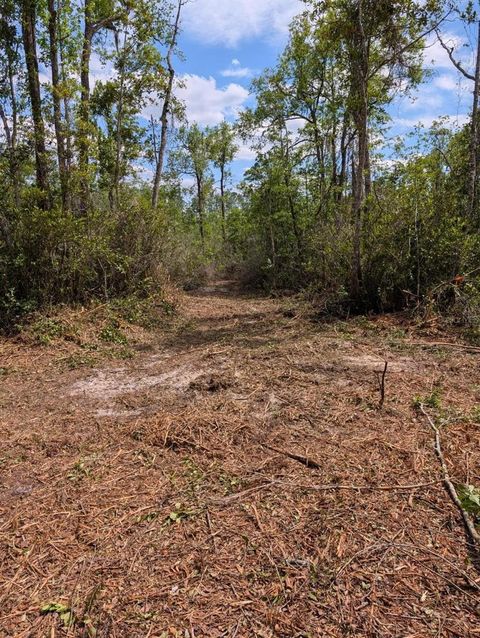 Tiny photo for 0 NE 220th Street, Fort Mccoy, FL 32134 (MLS # OM724633)