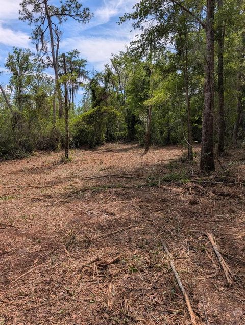 Tiny photo for 0 NE 220th Street, Fort Mccoy, FL 32134 (MLS # OM724633)