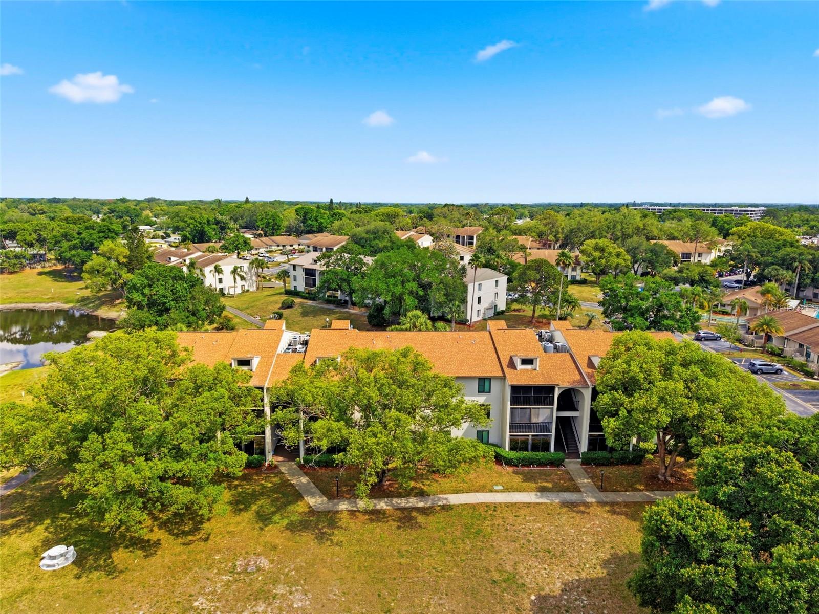 PINE RIDGE AT PALM HARBOR - Residential
