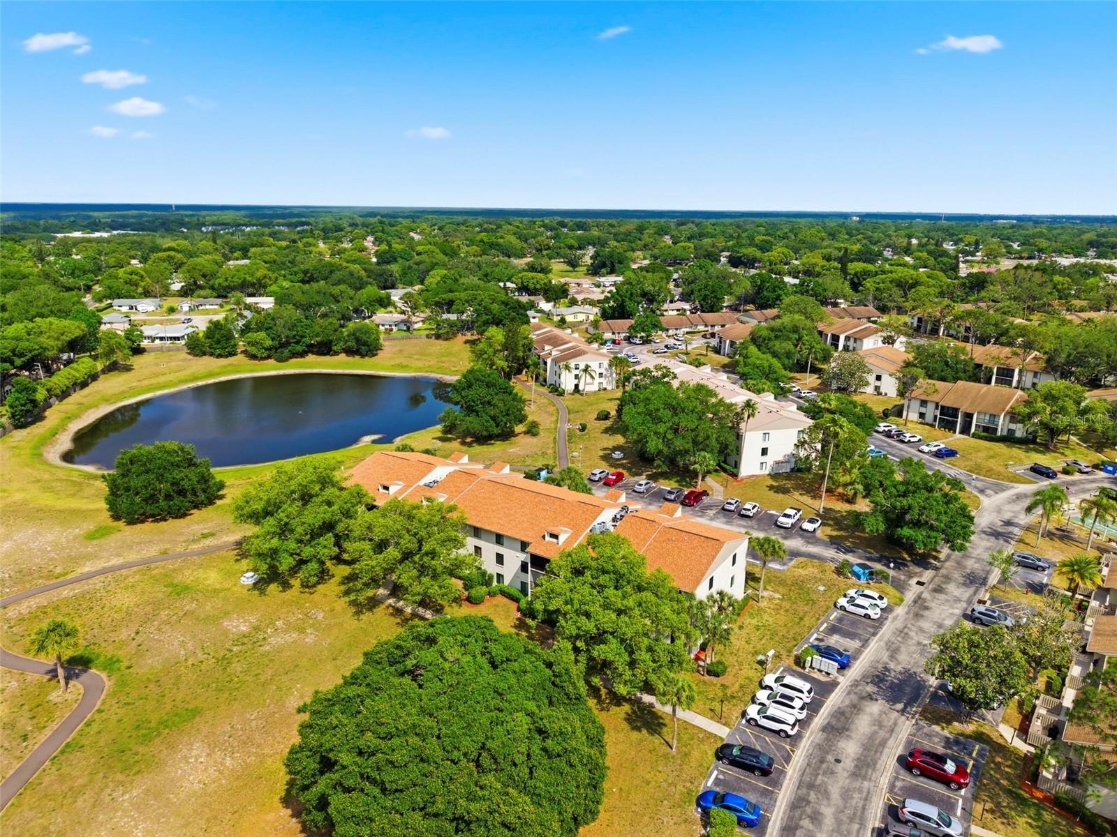 PINE RIDGE AT PALM HARBOR - Residential