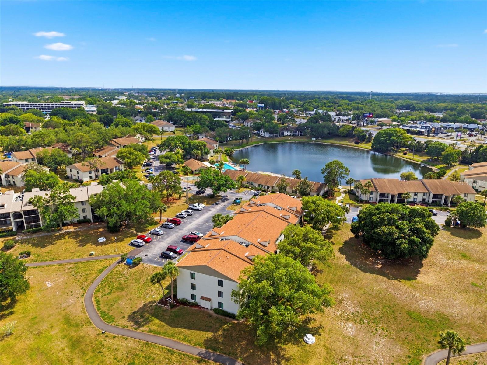 PINE RIDGE AT PALM HARBOR - Residential