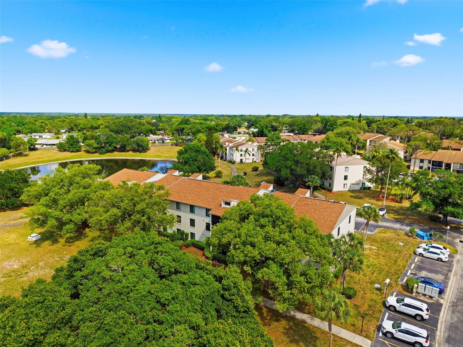PINE RIDGE AT PALM HARBOR - Residential