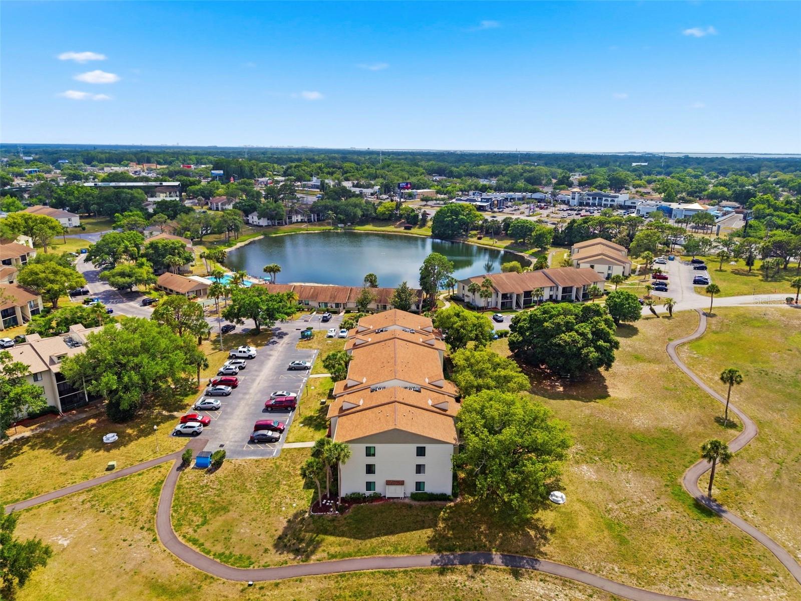 PINE RIDGE AT PALM HARBOR - Residential
