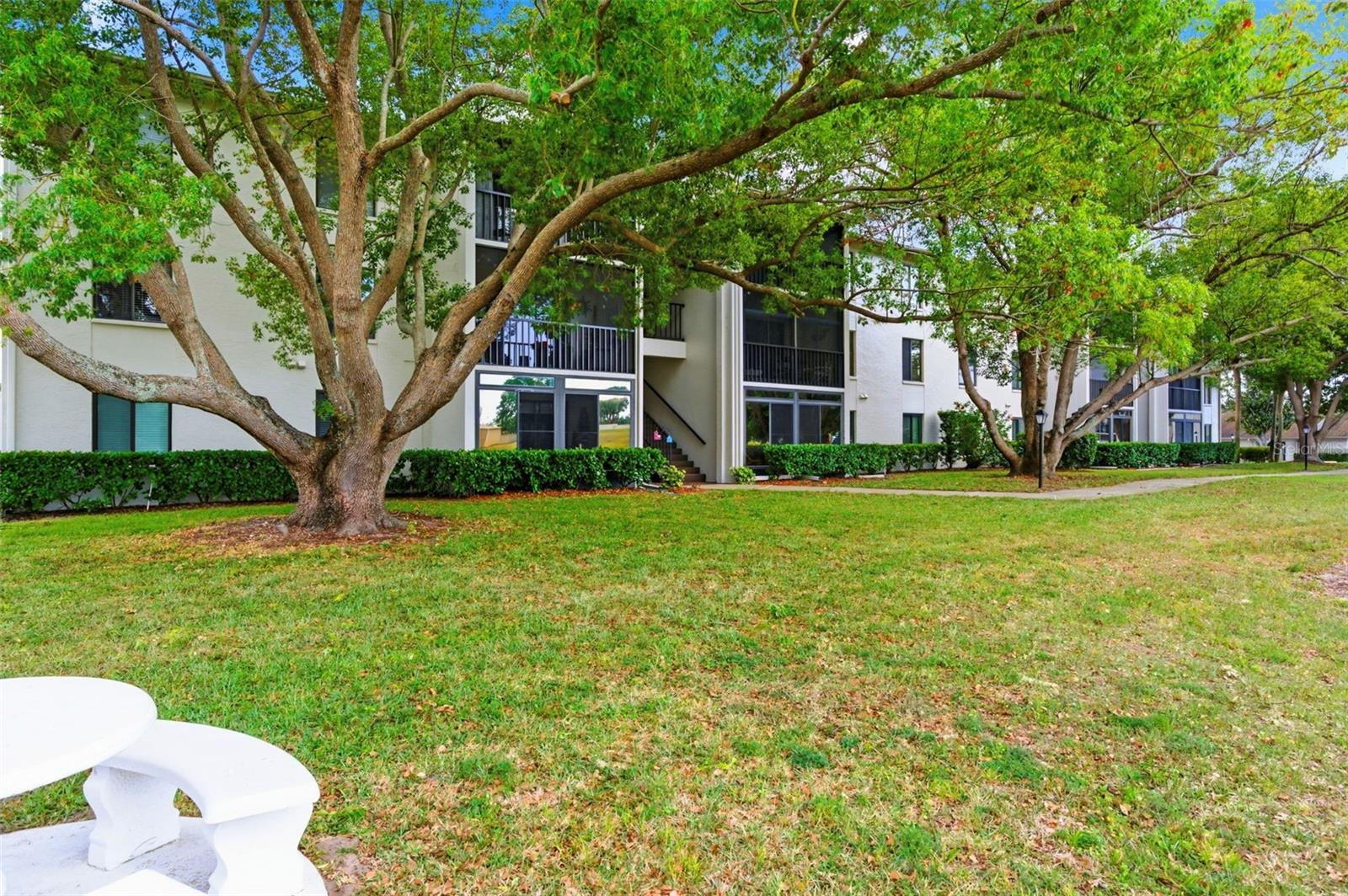 PINE RIDGE AT PALM HARBOR - Residential