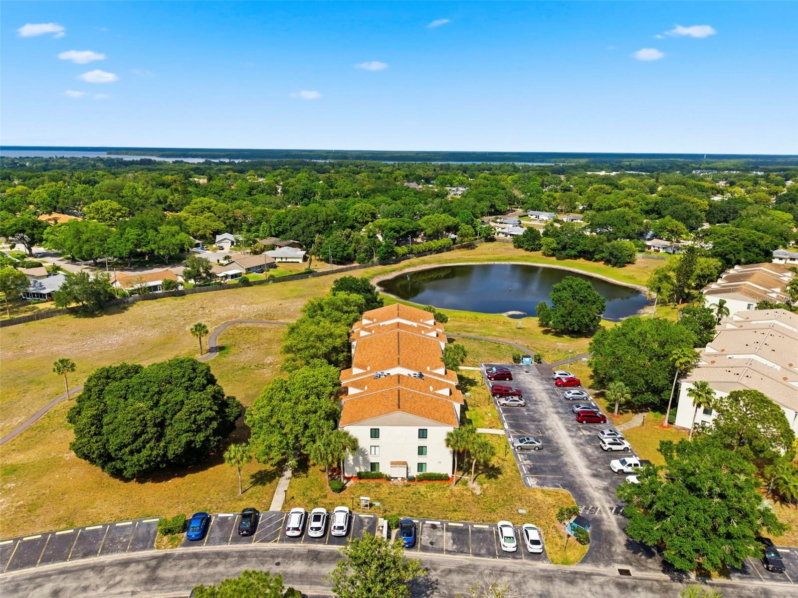 PINE RIDGE AT PALM HARBOR - Residential